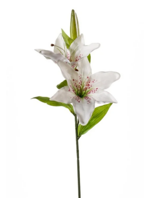 Lily Spray x 2 Heads 65cm White-0