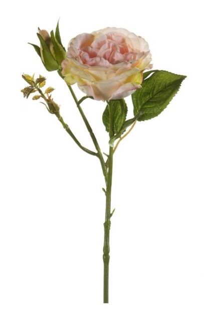 Rose Anne Spray Peach 37cm-0
