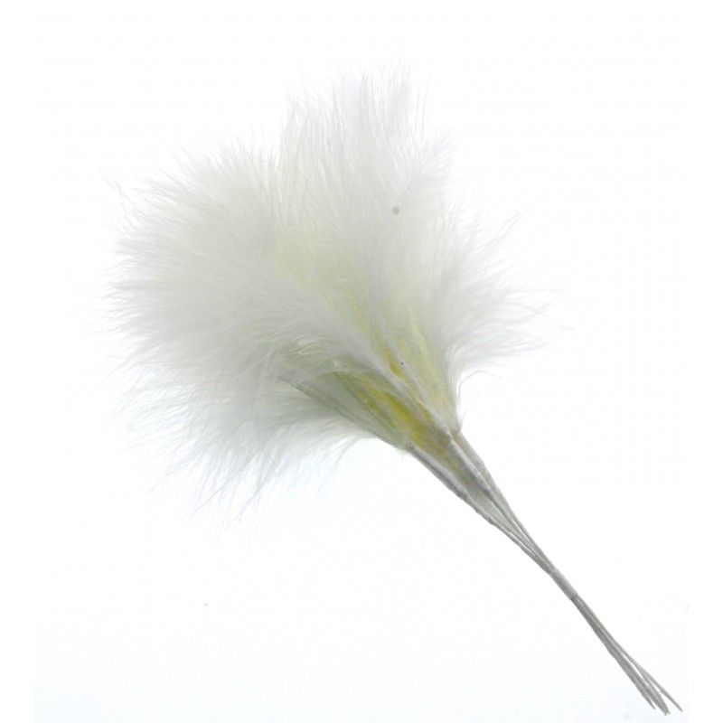 Fluffy Feathers - Cream (24cm Long 6pcs per pk)-0