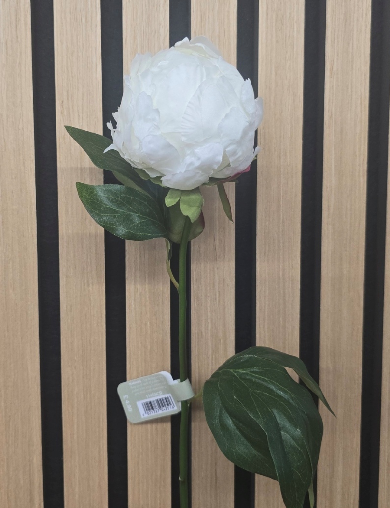 Hybrid Peony Bud 45cm Cream