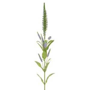 Veronica Spray 72cm Lavender-0