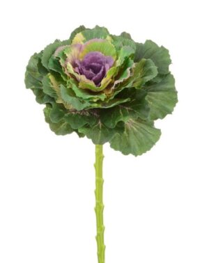 Ornamental Cabbage Spray 46cm Purple/Green-0
