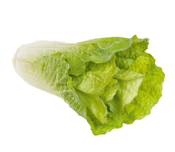 Chinese Cabbage Natural Touch-0