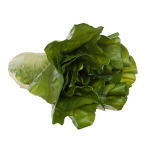 Romaine Lettuce Natural Touch-0