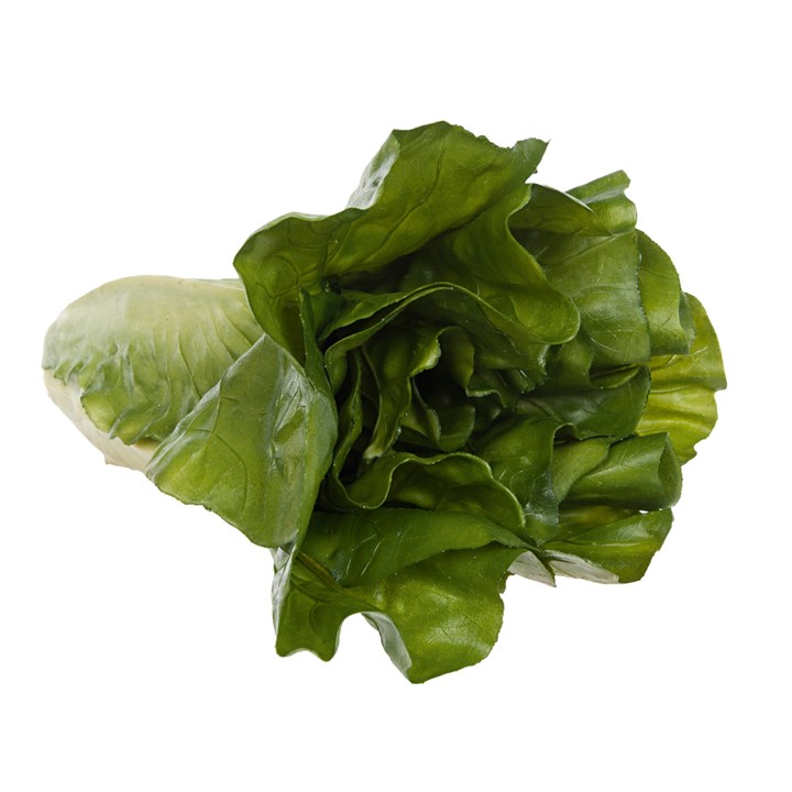 Romaine Lettuce Natural Touch-0