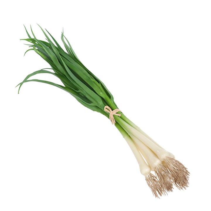 Spring Onion Bundle Natural Touch-0