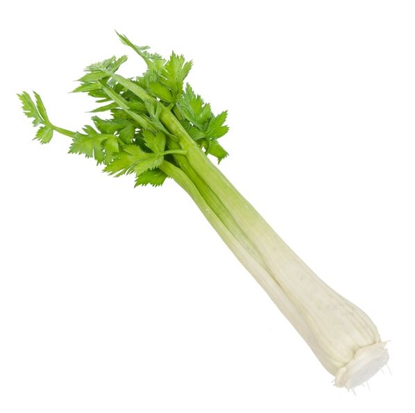 Celery Natural Touch-0