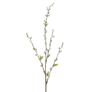 Pussy Willow Stem 81cm-0