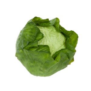 Cabbage Natural Touch-0