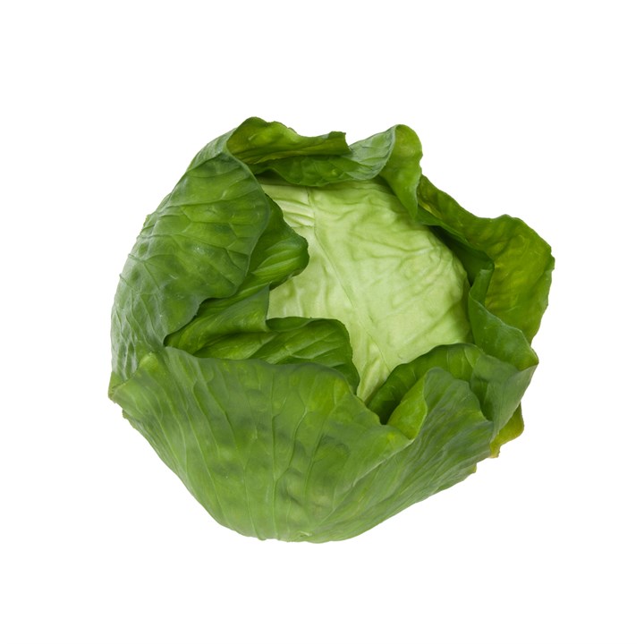 Cabbage Natural Touch-0