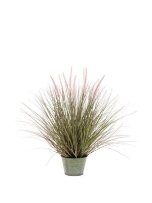 Pennisetum Grass In Zinc Pot 86Cm-0