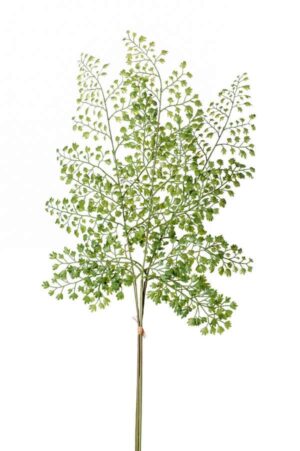 Adianthum Spray Bundle 58cm-0