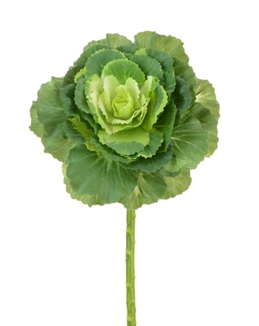 Ornamental Cabbage Spray 46cm Green-0
