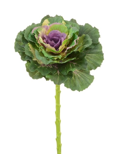 Ornamental Cabbage Spray 46cm Purple/Green-0