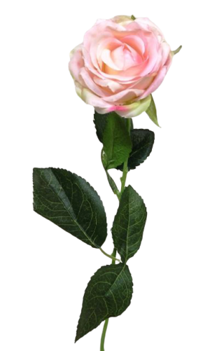 Diamond Rose Light Pink 40cm-0