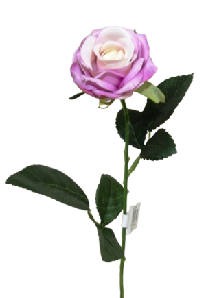 Diamond Rose Lavender 40cm-0
