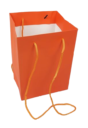 Olympic Bag Orange 25cm x 10pcs-0