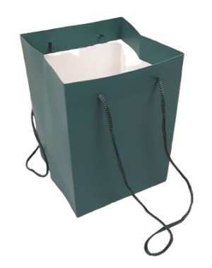 Olympic Bag Teal 25cm-0