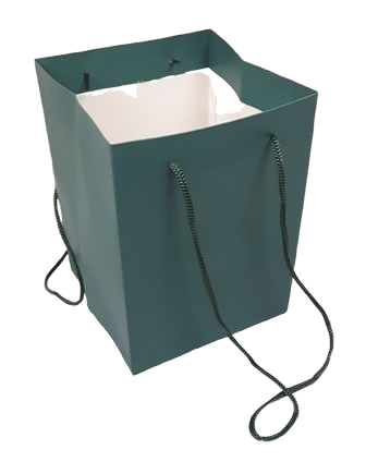 Olympic Bag Teal 25cm-0