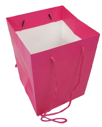 Olympic Bag Cerise 25cm-0
