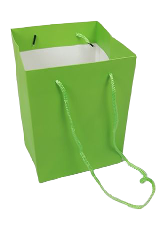 Olympic Bag Lime 25cm-0