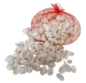 Shell White Chippi Small 1kg-0