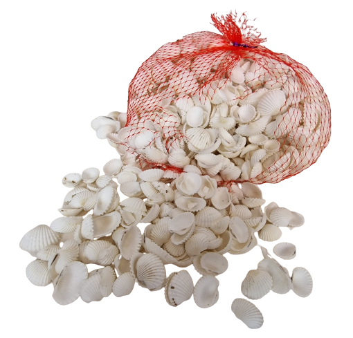 Shell White Chippi Small 1kg-0