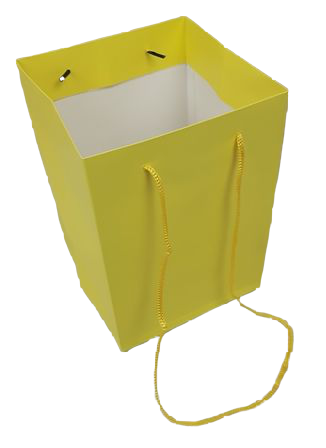 Olympic Bag Yellow 25cm x 10pcs-0