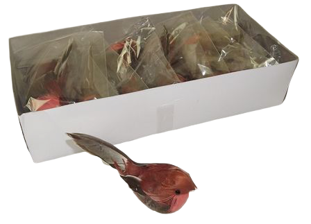 Robins - Natural (12 Per Box) App 9.5cm-0
