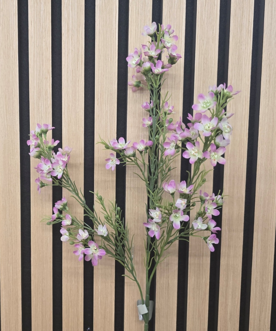 Wintersweet Spray x 3 67cm Pink