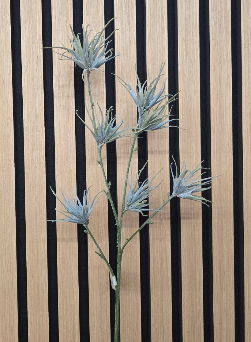 Spider Fern x 4 60cm Grey
