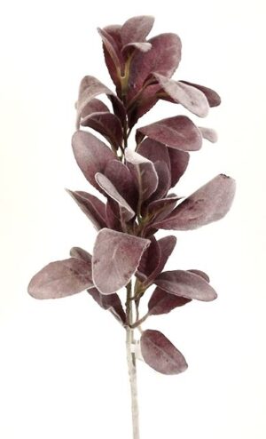 Lambs Ear Spray 71cm Dusty Pink-0