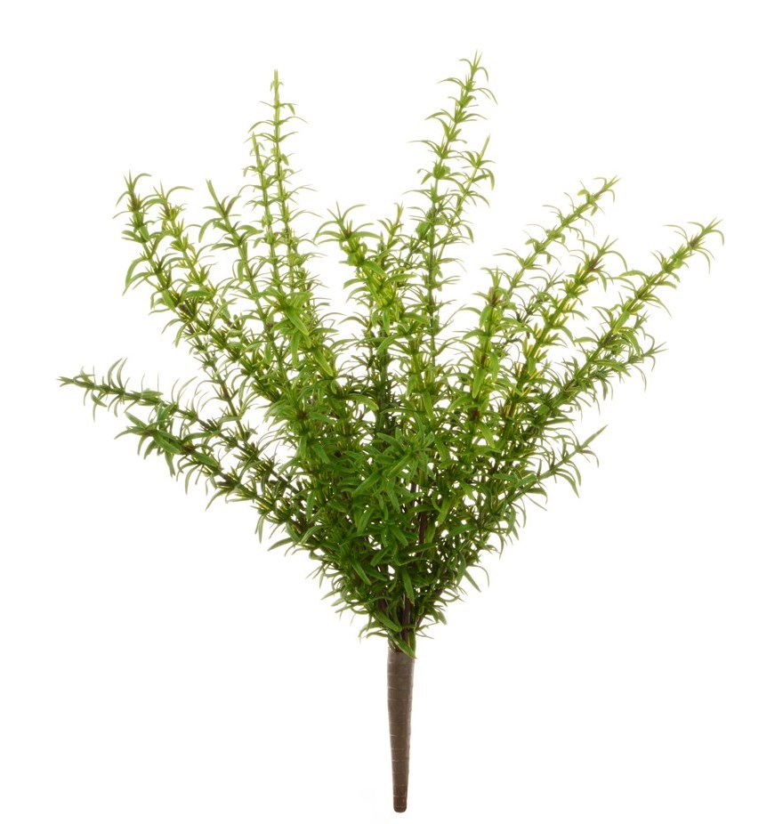 Rosemary Bush 43cm Green-0