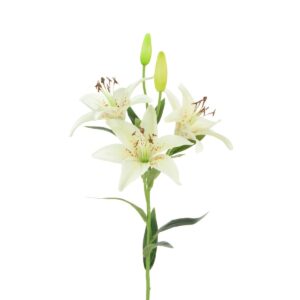 Tiger Lily 82cm Cream-0