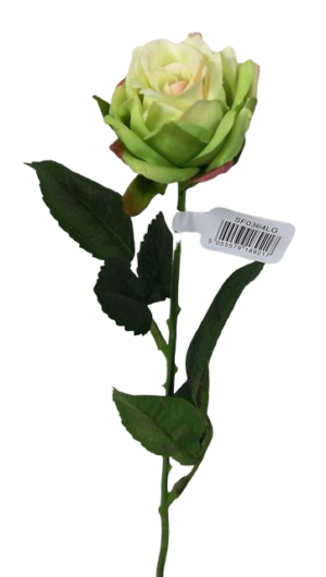 Diamond Rose Light Green 40cm-0