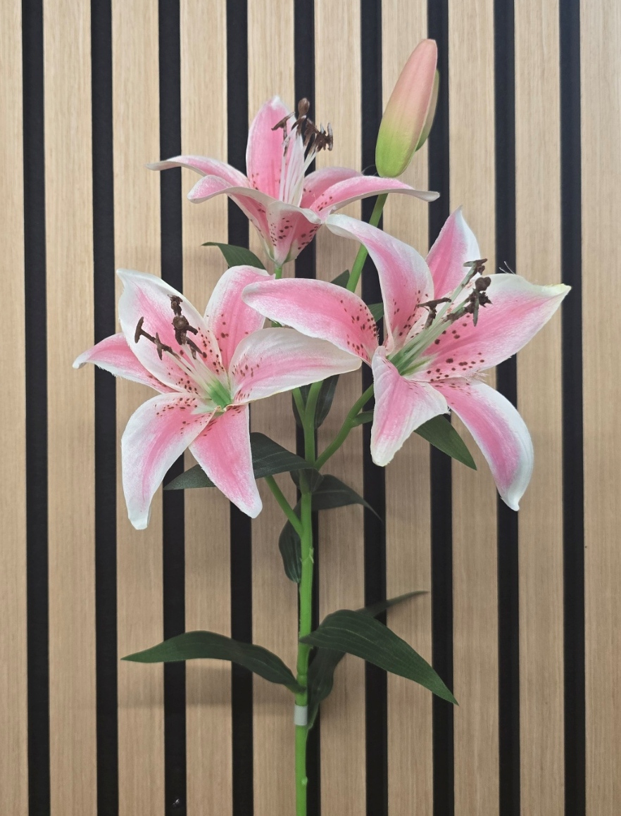 Tiger Lily 82cm Pink