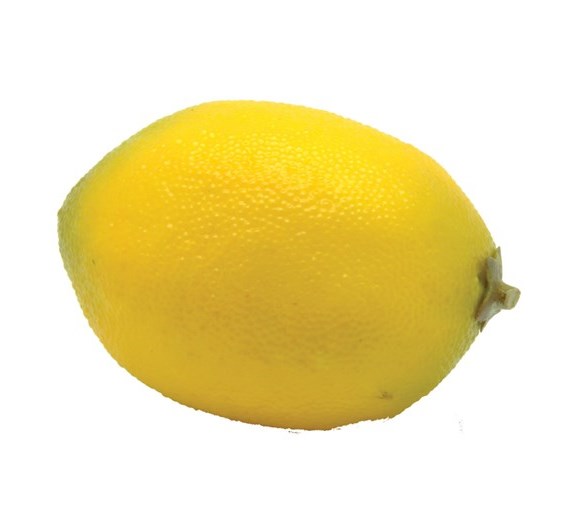 Lemon Weighted D - 6cm-0