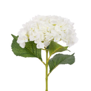Hydrangea 65cm White-0