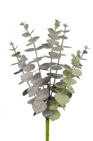 Spiral Eucalyptus Pick 30cm-0