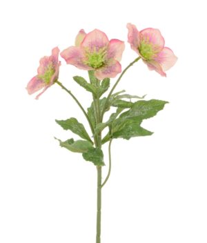 Iced Hellebore Spray 38cm Mauve/Pink-0