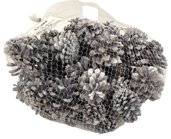 Pinus Mugos In Net Stone Washed White x 500g-0