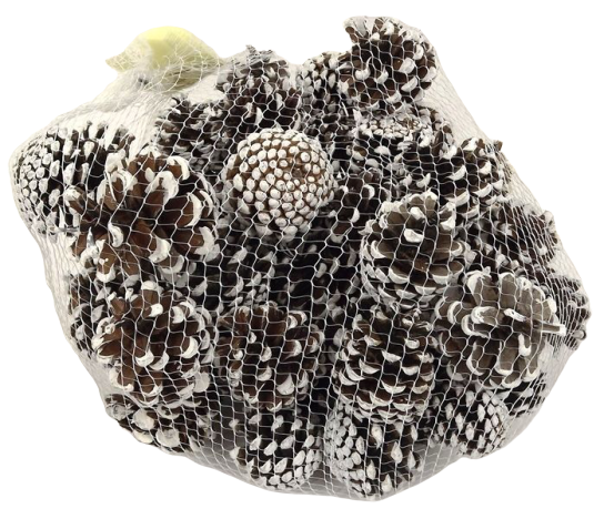 Pinus Mugos In Net White Dipped x 500g-0