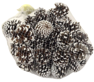 Pinus Mugos In Net White Dipped x 500g-0