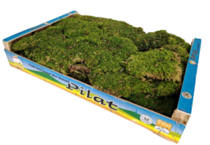 Dried Flat Moss 1.5kg Best Quality (French)