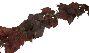 180cm Outdoor Grape Leaf Garland WR Purple-0