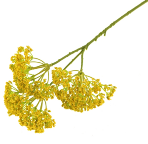 36cm Lace Flower Yellow -0