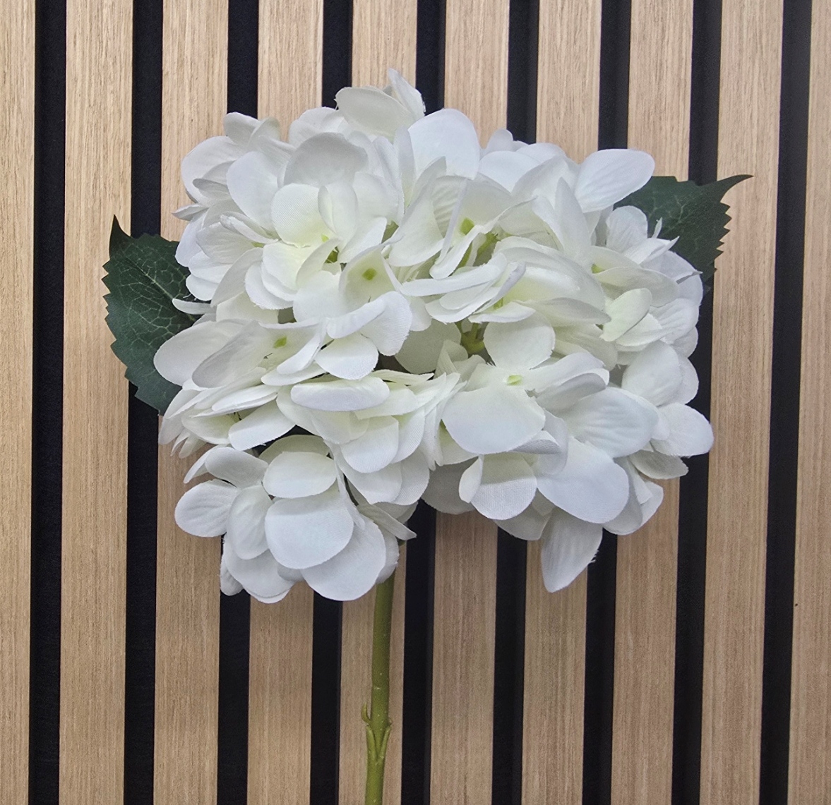 Hydrangea Stem White 58cm
