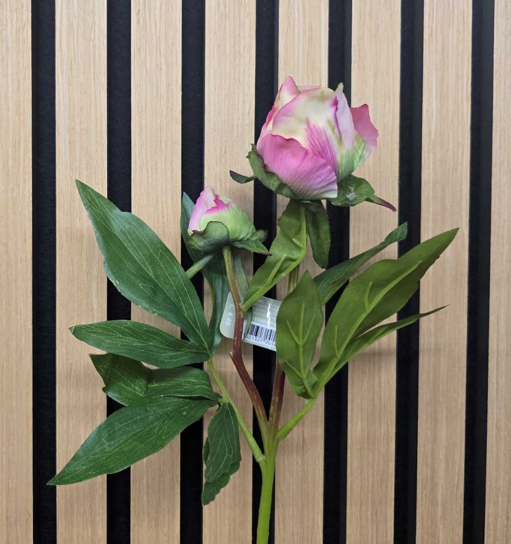 ECO Peony Bud 48cm Pink/Green