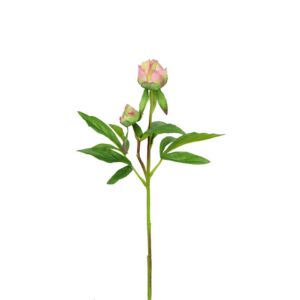 ECO Peony Bud 48cm Pink/Green