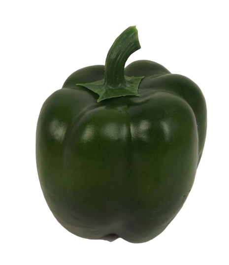 Bell Pepper 10cm Green-0